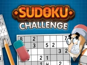 Sudoku Challenge